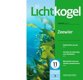 De Lichtkogel - Zeewier